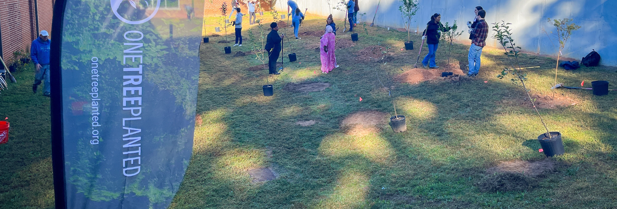 Volunteers working for One Tree Planted