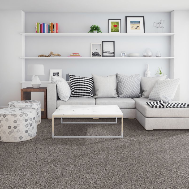 Living room with comfy carpet - Classic Escape - Twilight Jungle